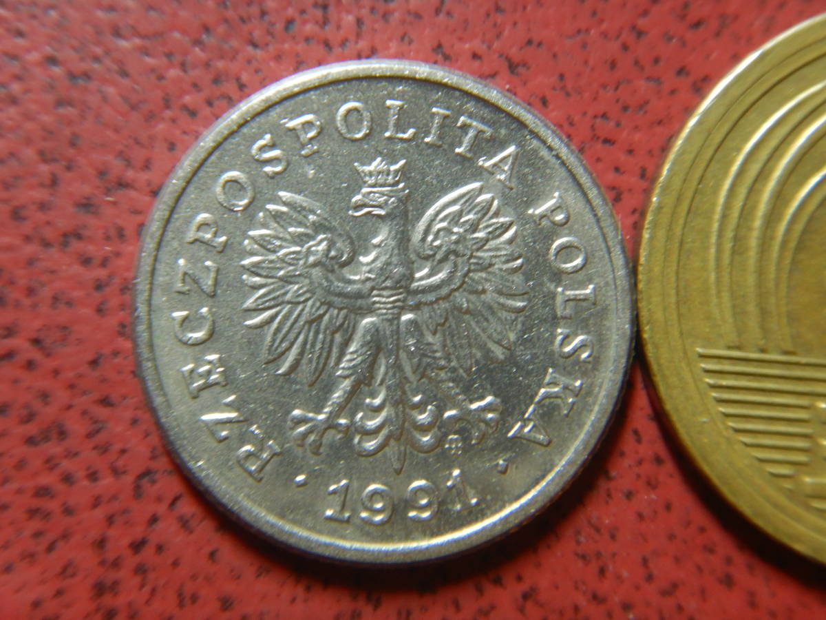 ポーランド　コイン