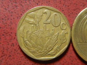 南アフリカ黄銅貨