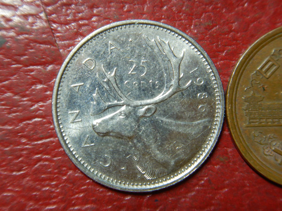 カナダ　鹿　コイン