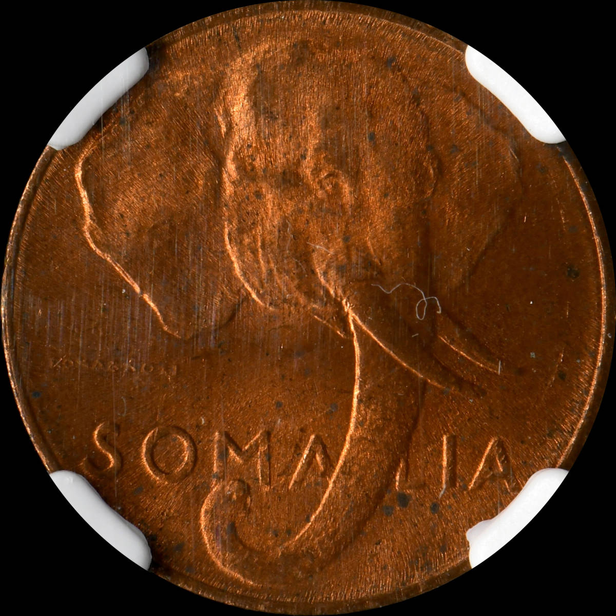 ソマリア　コイン