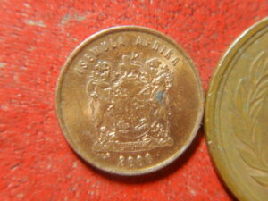 アフリカ　コイン