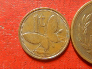 蝶々のコイン