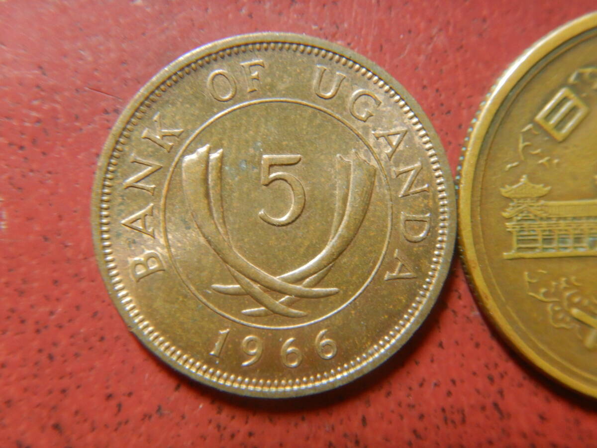 ウガンダ　古銭